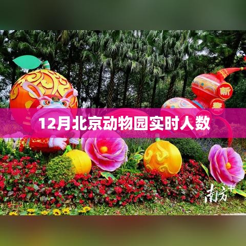 北京动物园12月实时游客人数