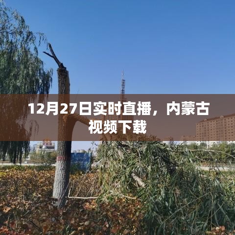 内蒙古视频下载直播回放 12月27日实时直播内容