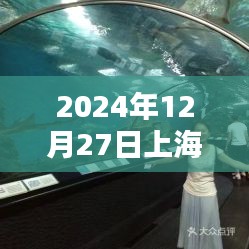 上海水族馆客流量实时更新，2024年12月27日数据报告