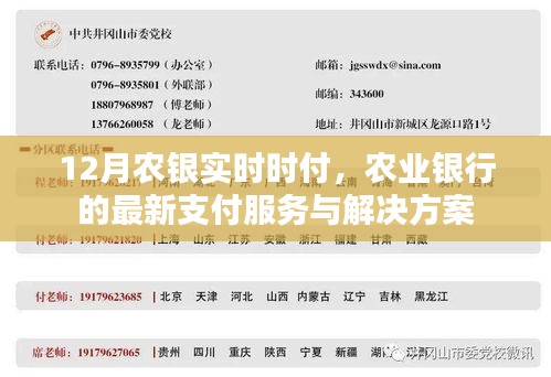 农业银行最新支付服务，12月实时支付解决方案