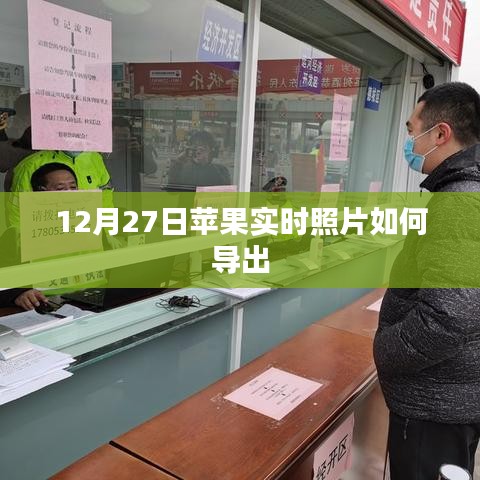 苹果实时照片导出攻略，12月27日教程