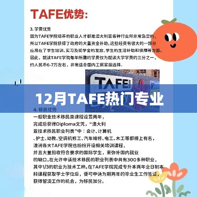 TAFE热门专业榜单揭晓，12月选课指南