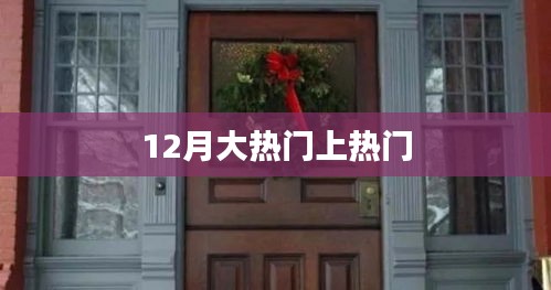 12月大热门事件全解析