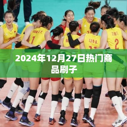 2024年热门商品刷子，选购指南与推荐