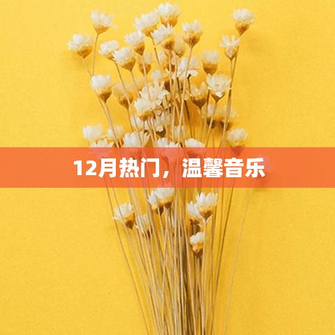 温馨音乐，12月热门之选