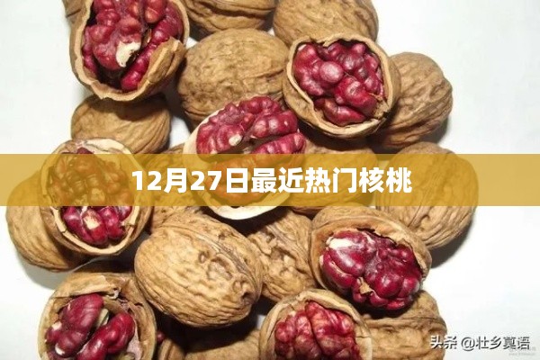 核桃热潮，最新动态与资讯（12月27日）