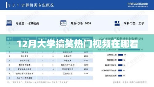 爆笑来袭！大学热门视频12月观看指南