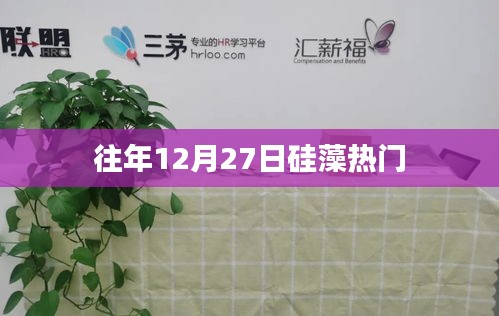 硅藻热门揭秘，历年12月27日探秘