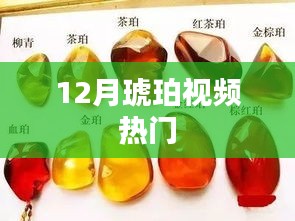 琥珀视频12月热门精选