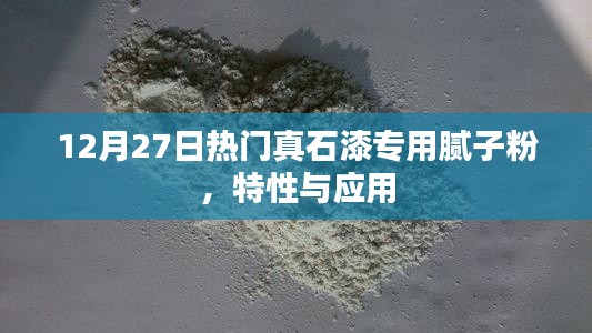 真石漆专用腻子粉，特性与广泛应用