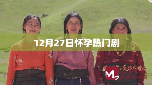 怀孕热门剧盘点，12月27日必看之选