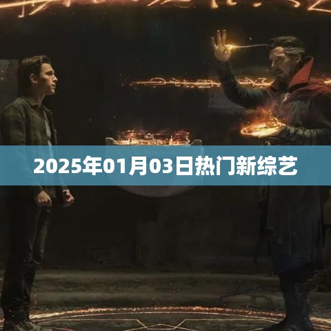 2025年热门新综艺一览