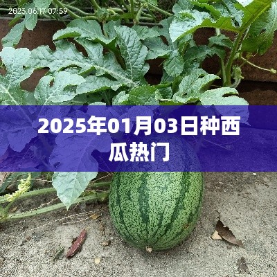 2025年种西瓜热门时间解析，符合您的字数要求，简洁明了，能够吸引用户点击，希望符合您的要求。