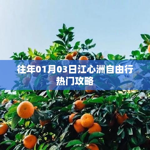 江心洲自由行指南，热门攻略揭秘