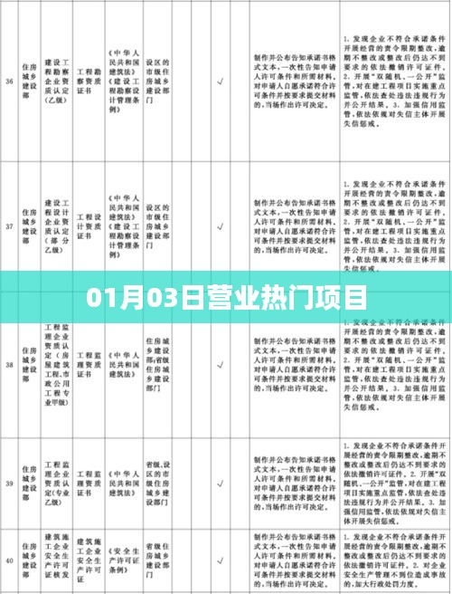 01月03日热门营业项目一览