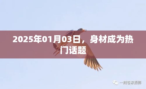 身材热议，2025年趋势展望