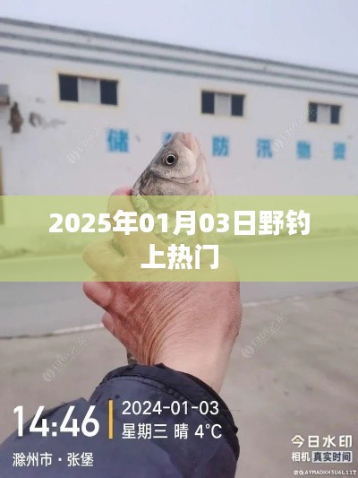 野钓热潮持续升温，2025年1月3日成热门话题