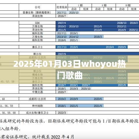 『2025年最热单曲，Whoyou热门歌曲盘点』