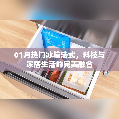 热门法式冰箱，科技融合家居生活的完美之选