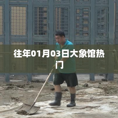 大象馆迎新春热门盛况