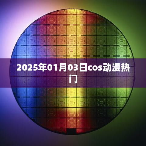 2025年元旦动漫cosplay热门角色大赏