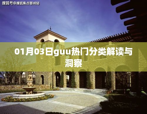 Guu热门分类解读与洞察，深度剖析行业趋势