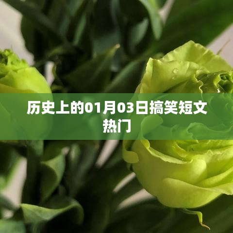 2025年1月6日 第20页