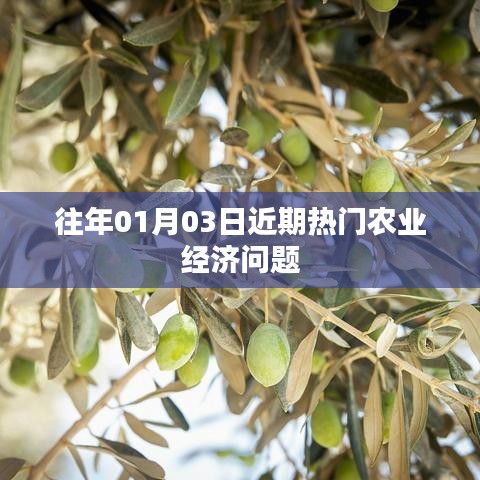 农业经济热点问题解析