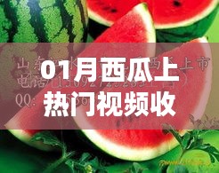 一月西瓜热门视频是否需要收费？