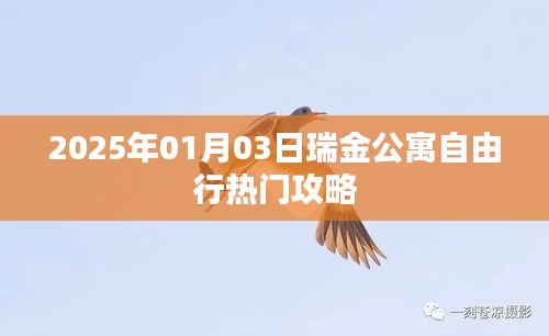 瑞金公寓自由行指南，精选攻略助你畅游2025年元旦