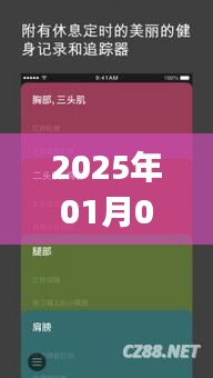 『2025年1月3日热门Joy卡，引领潮流新体验』