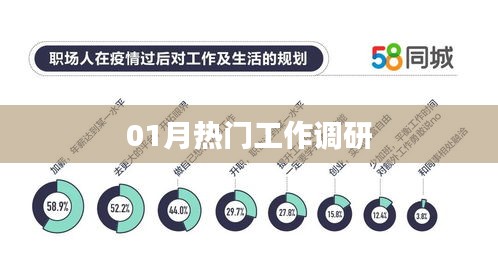 热门工作调研报告，一月份最新动态分析