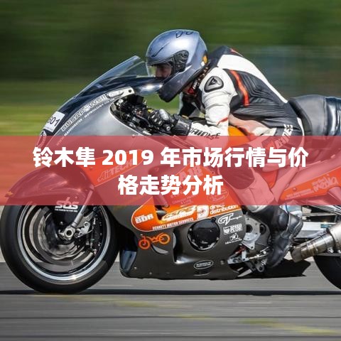 铃木隼 2019 年市场行情与价格走势分析