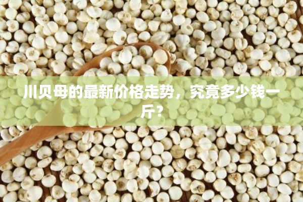 川贝母的最新价格走势，究竟多少钱一斤？