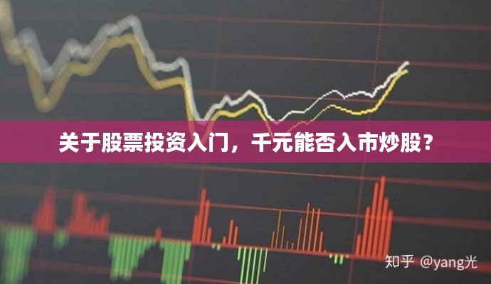 关于股票投资入门，千元能否入市炒股？