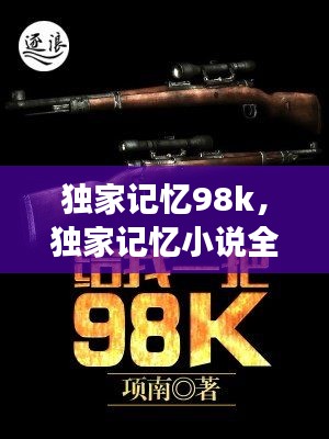 独家记忆98k，独家记忆小说全文阅读 