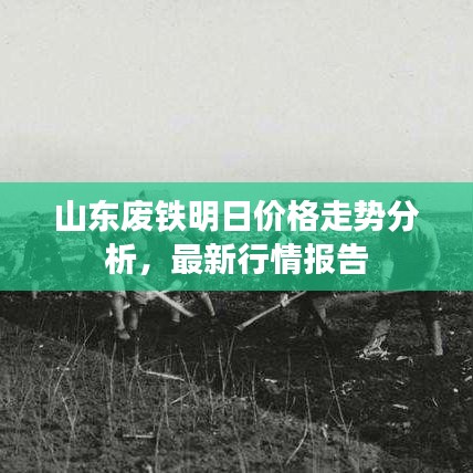 山东废铁明日价格走势分析，最新行情报告