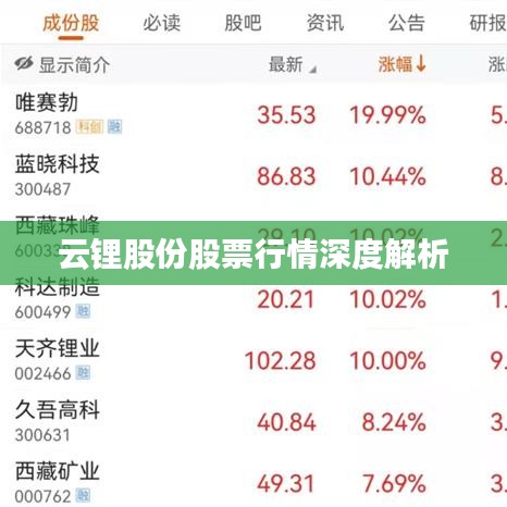 云锂股份股票行情深度解析