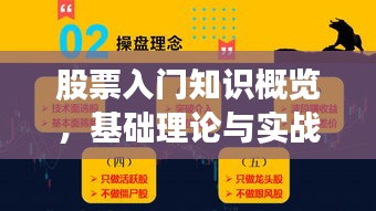 股票入门知识概览，基础理论与实战解读