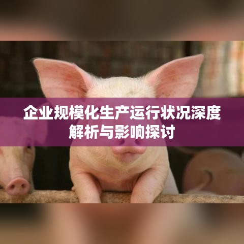 企业规模化生产运行状况深度解析与影响探讨