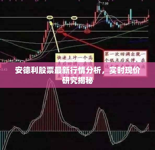 安德利股票最新行情分析，实时现价研究揭秘