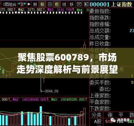 聚焦股票600789，市场走势深度解析与前景展望