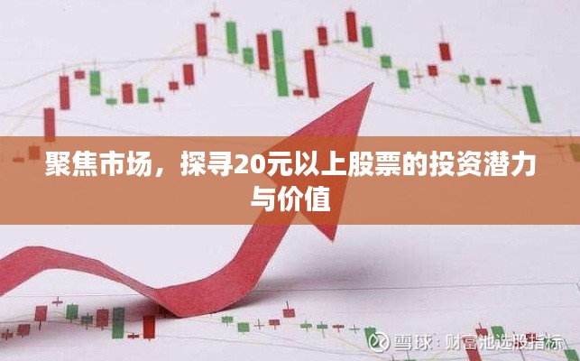 聚焦市场，探寻20元以上股票的投资潜力与价值