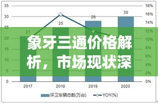 象牙三通价格解析，市场现状深度剖析与趋势预测