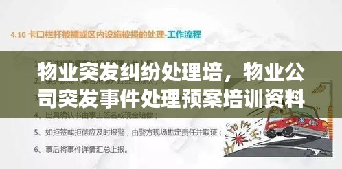 物业突发纠纷处理培，物业公司突发事件处理预案培训资料 