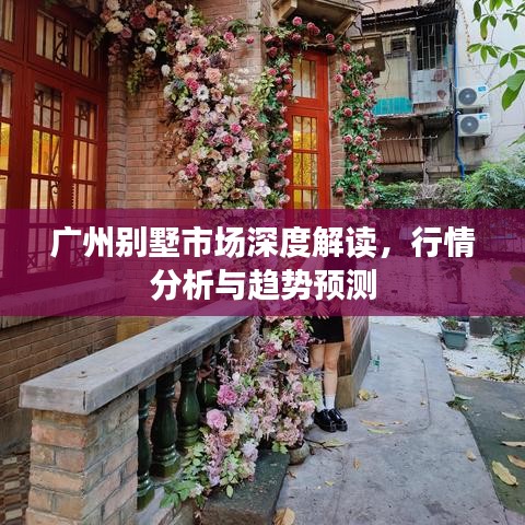 广州别墅市场深度解读，行情分析与趋势预测