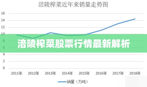 涪陵榨菜股票行情最新解析