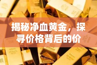 揭秘净血黄金，探寻价格背后的价值奥秘