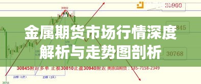 金属期货市场行情深度解析与走势图剖析