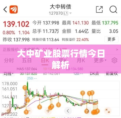 大中矿业股票行情今日解析